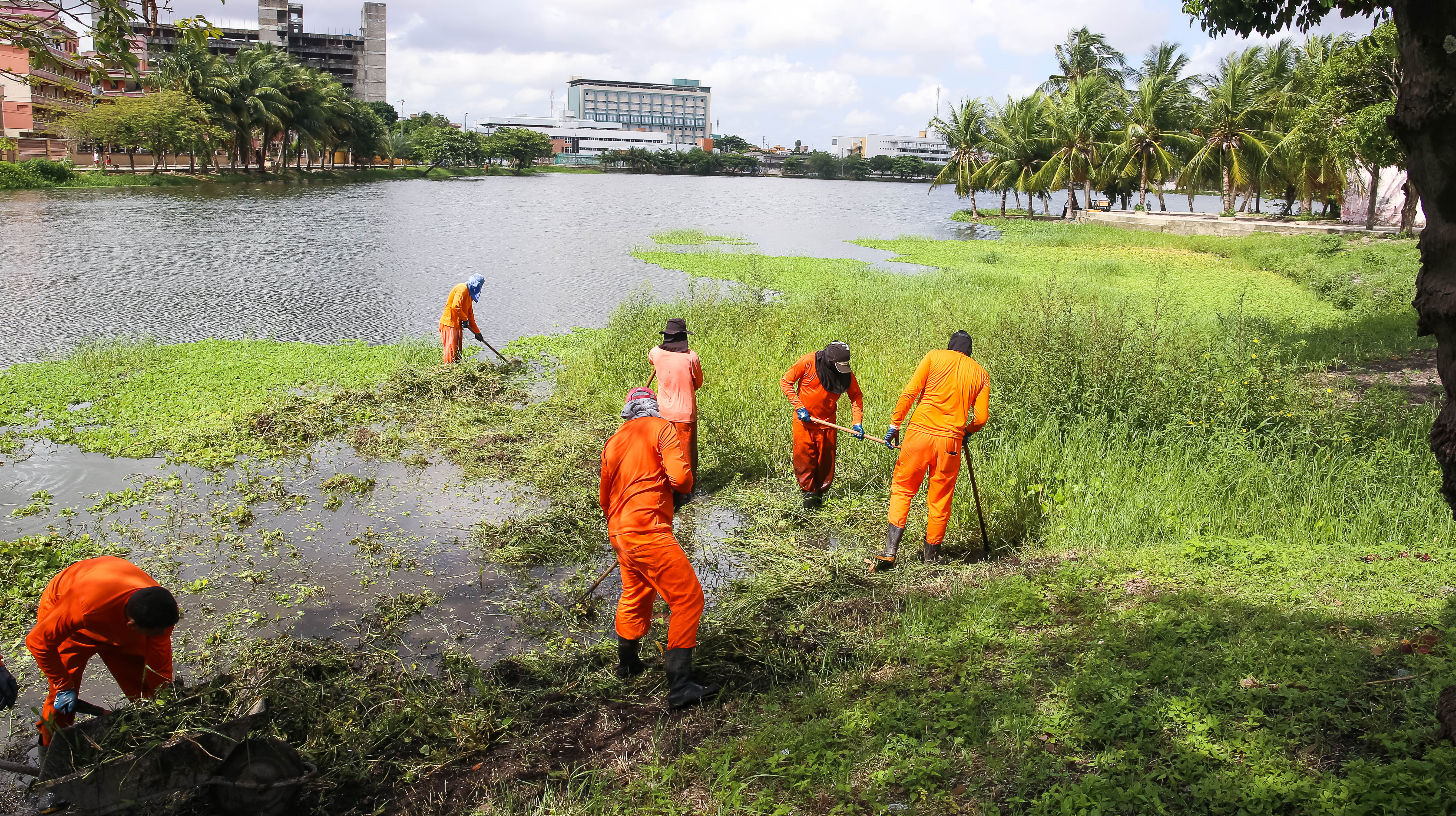 grupo de homens limpando uma lagoa